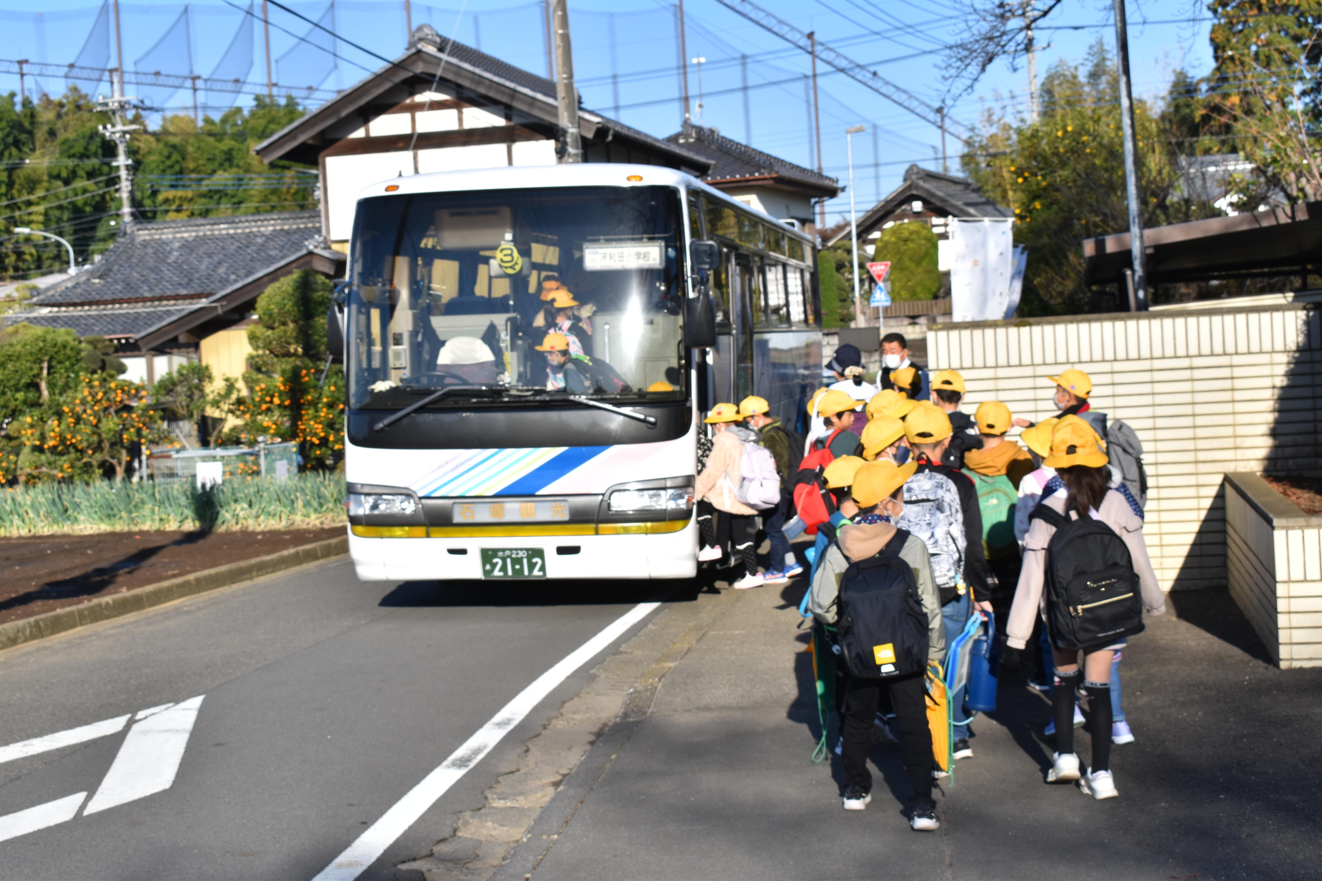 DSC_0482 DSC_0482