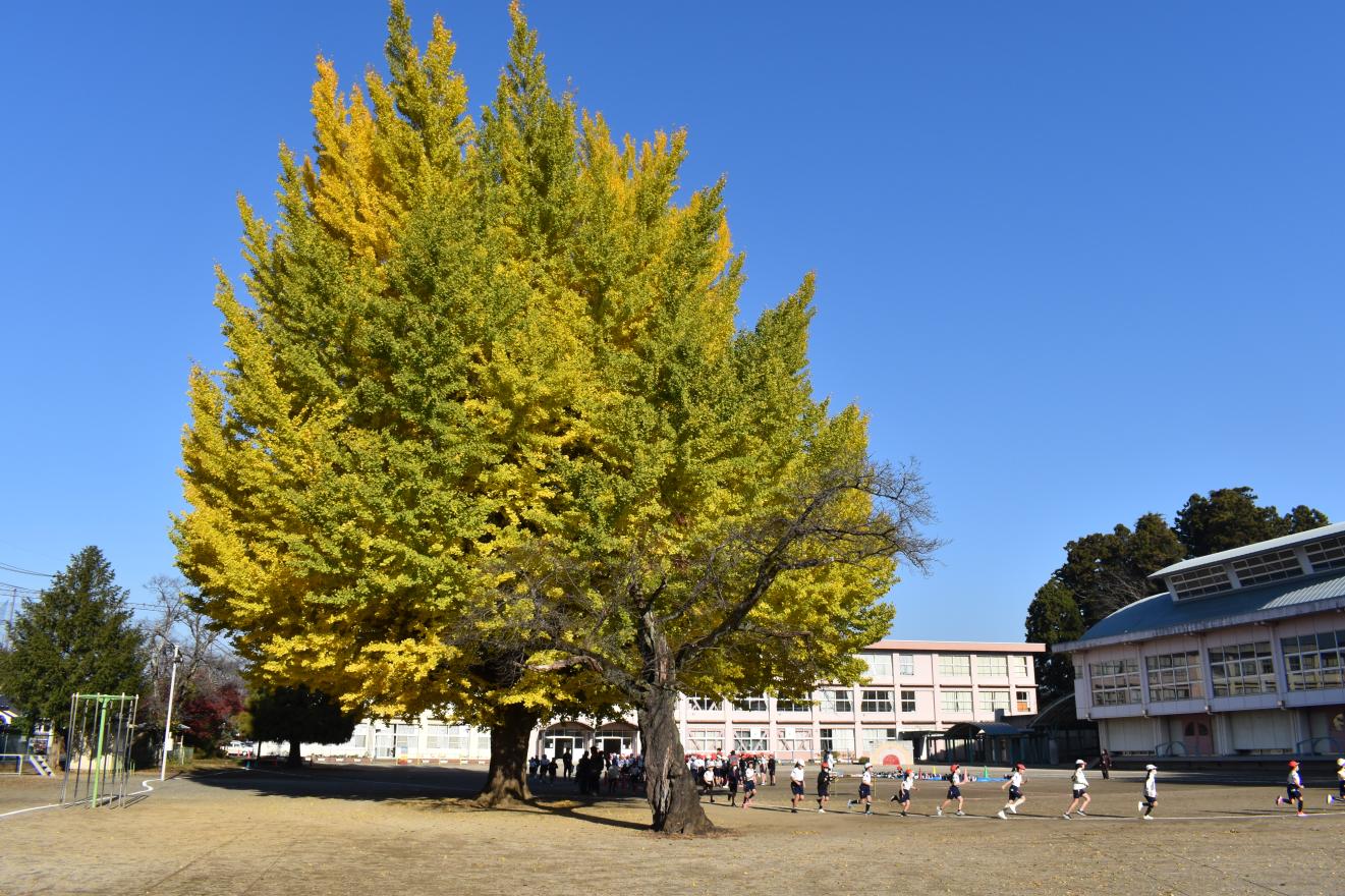 DSC_0500 DSC_0500