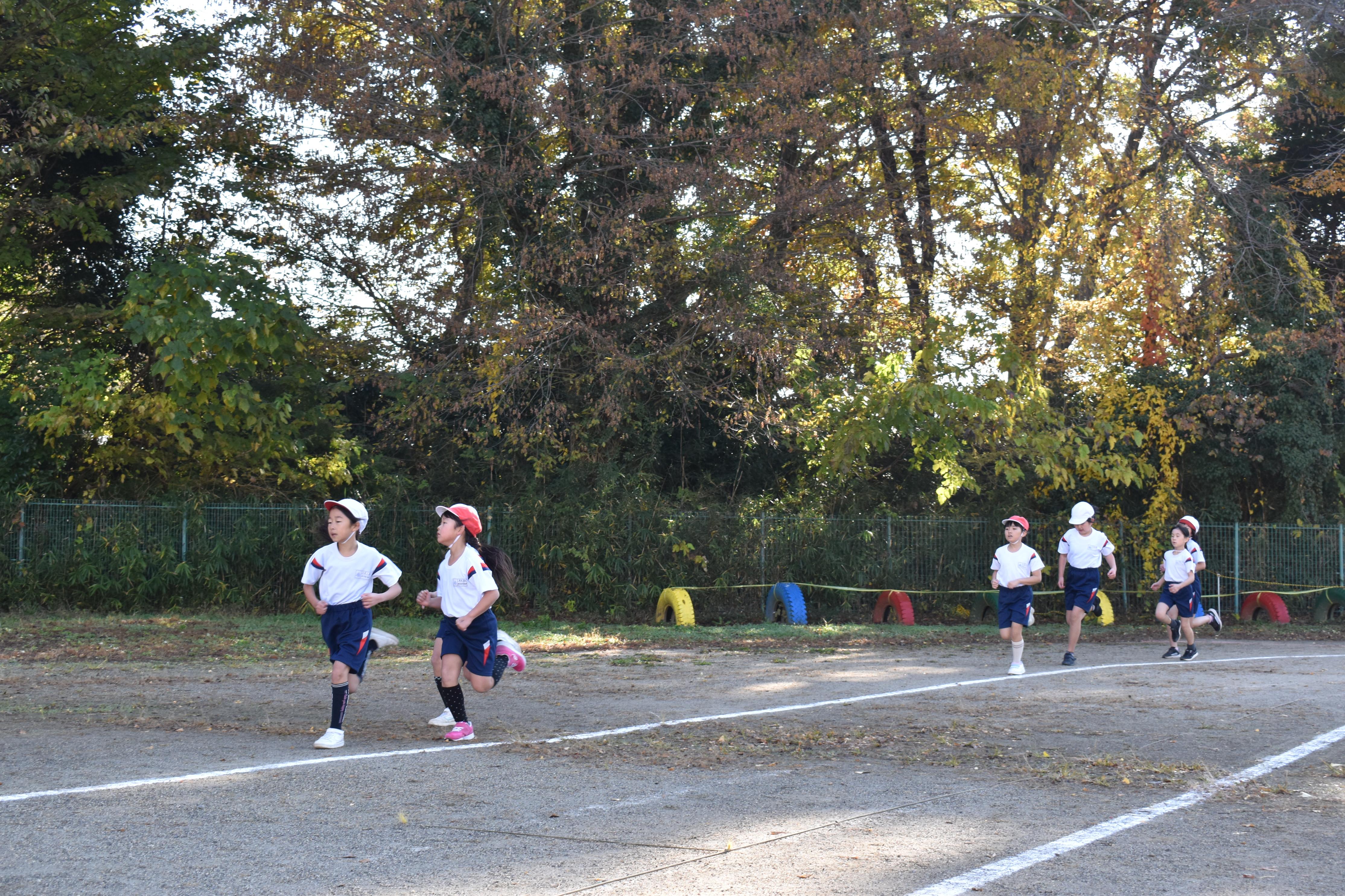 DSC_0501 DSC_0501