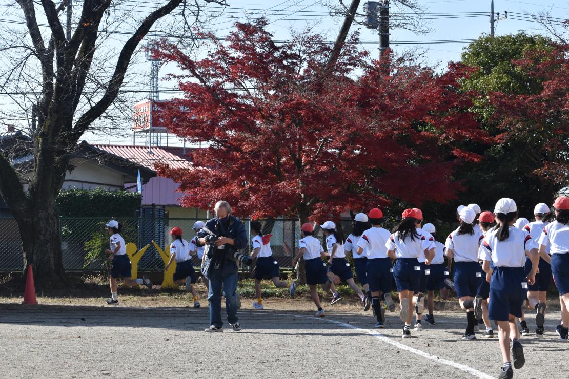 DSC_0611 DSC_0611