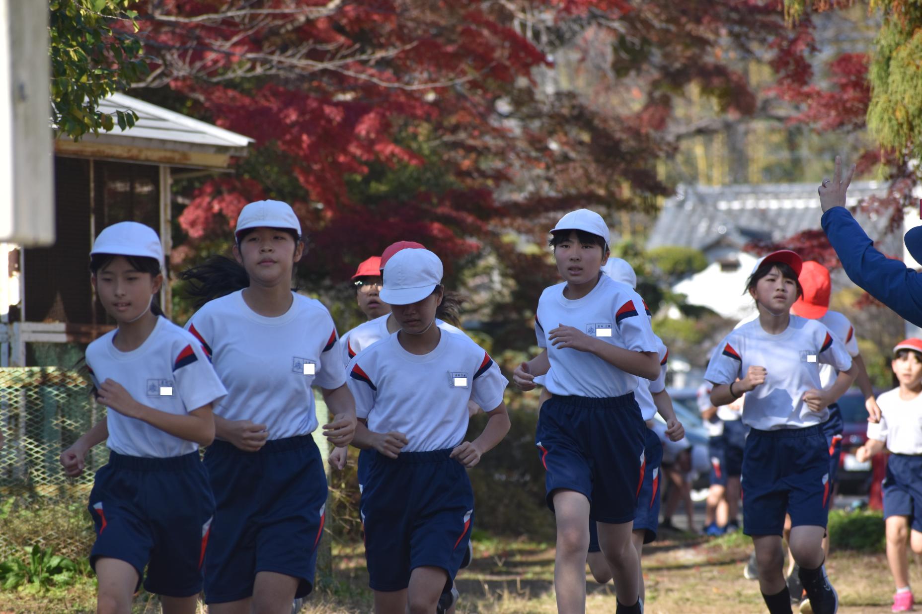 DSC_0617 DSC_0617