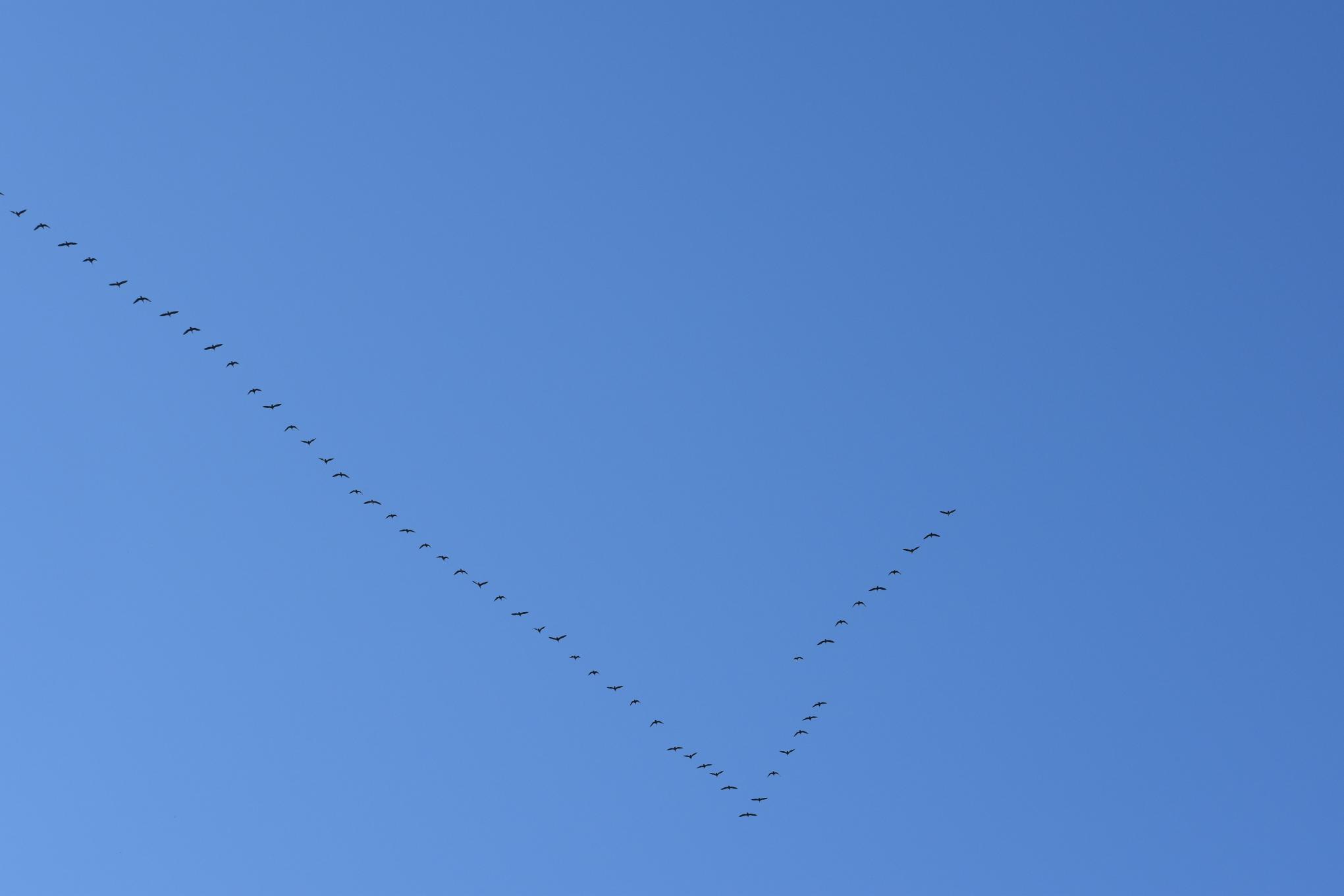 DSC_0522 DSC_0522