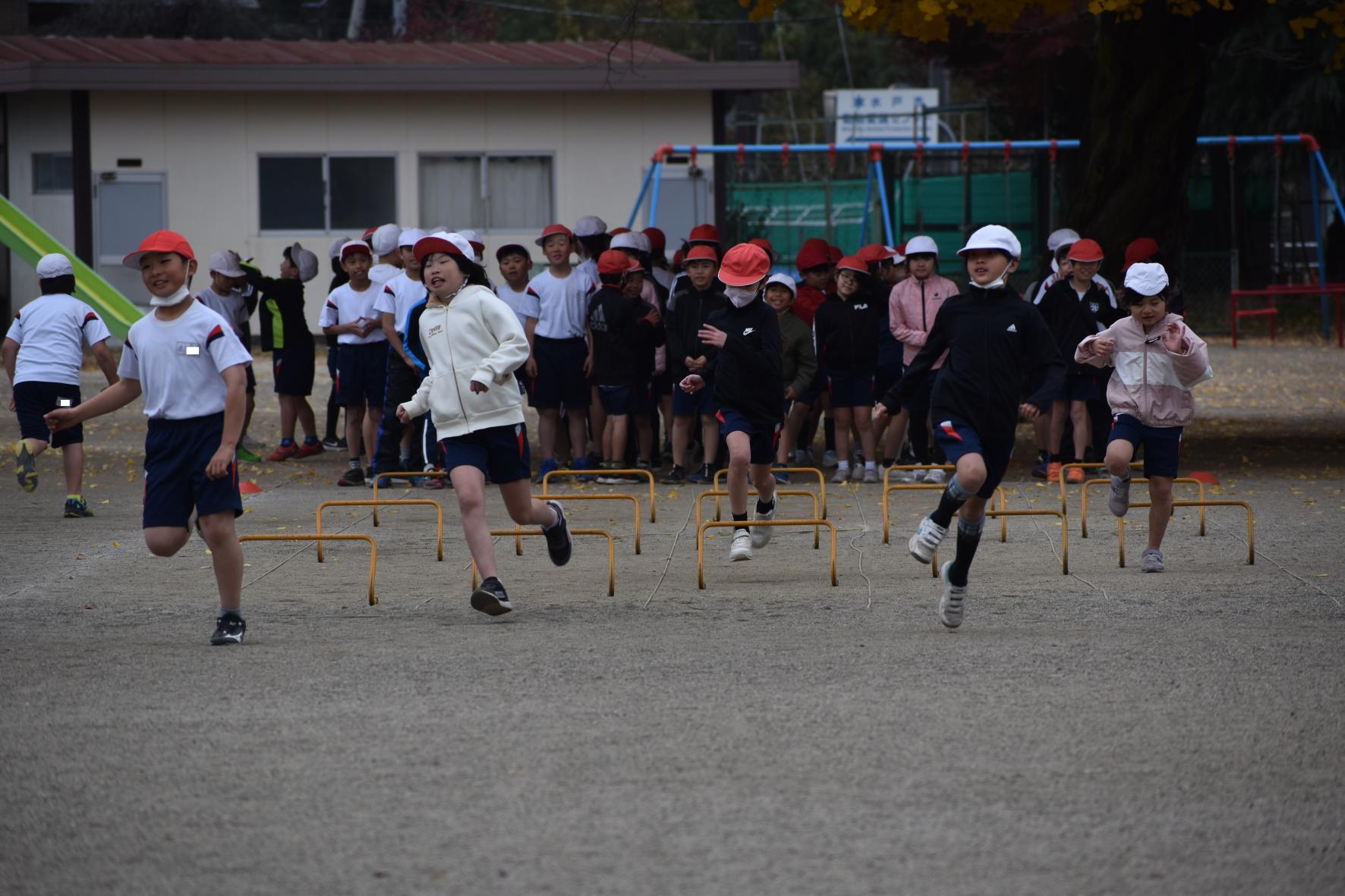 DSC_0780 DSC_0780