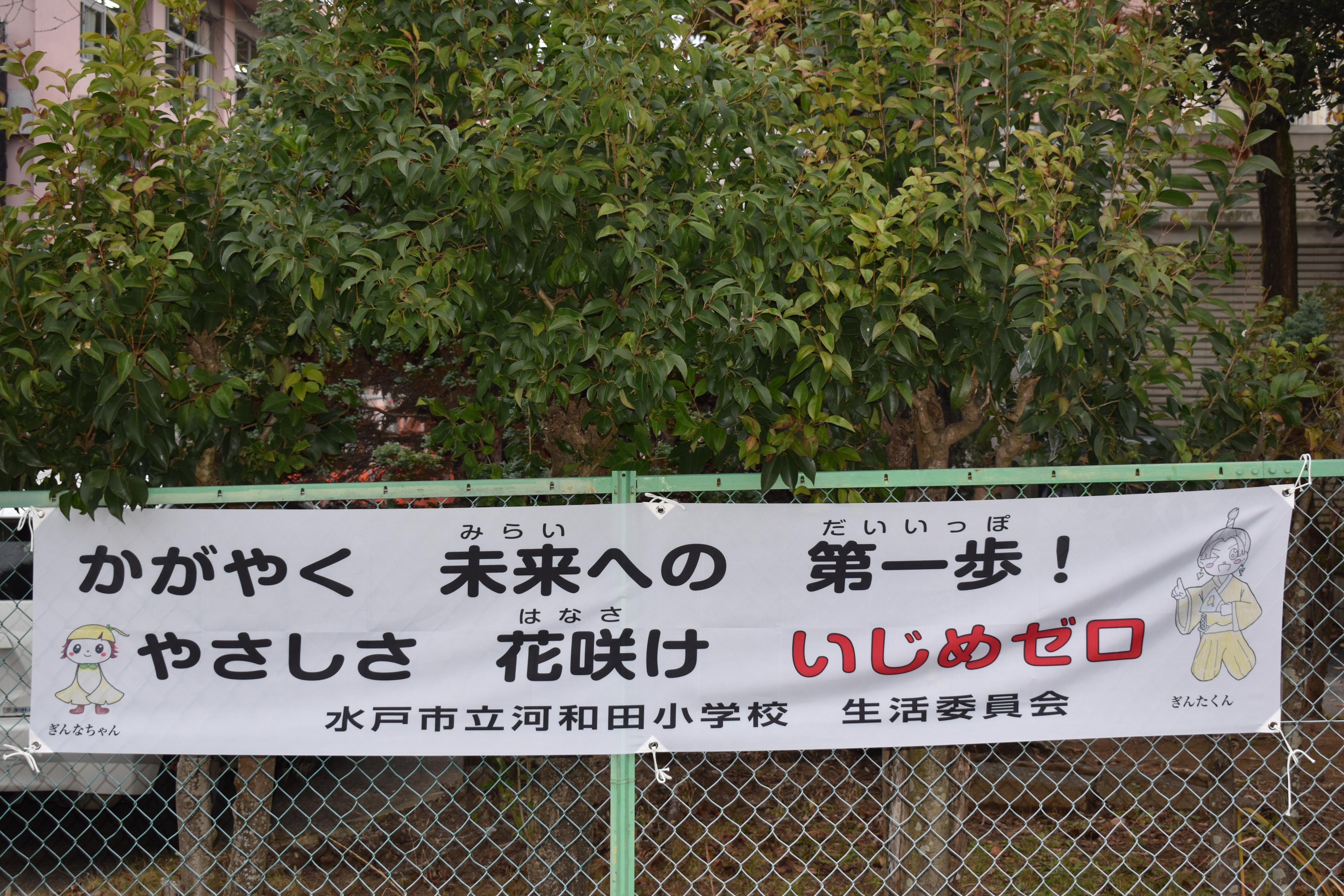 DSC_0856 DSC_0856