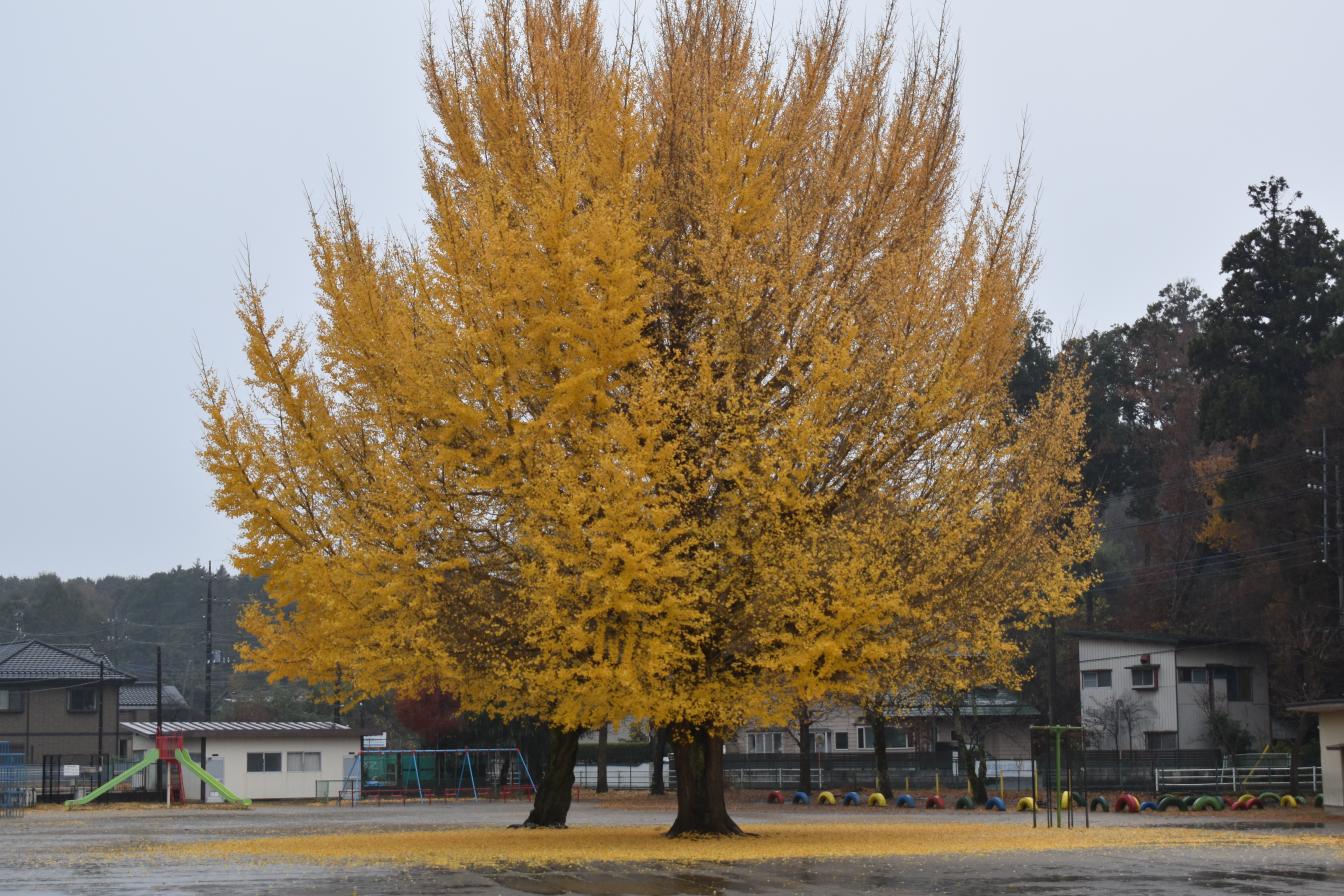 DSC_0869 DSC_0869