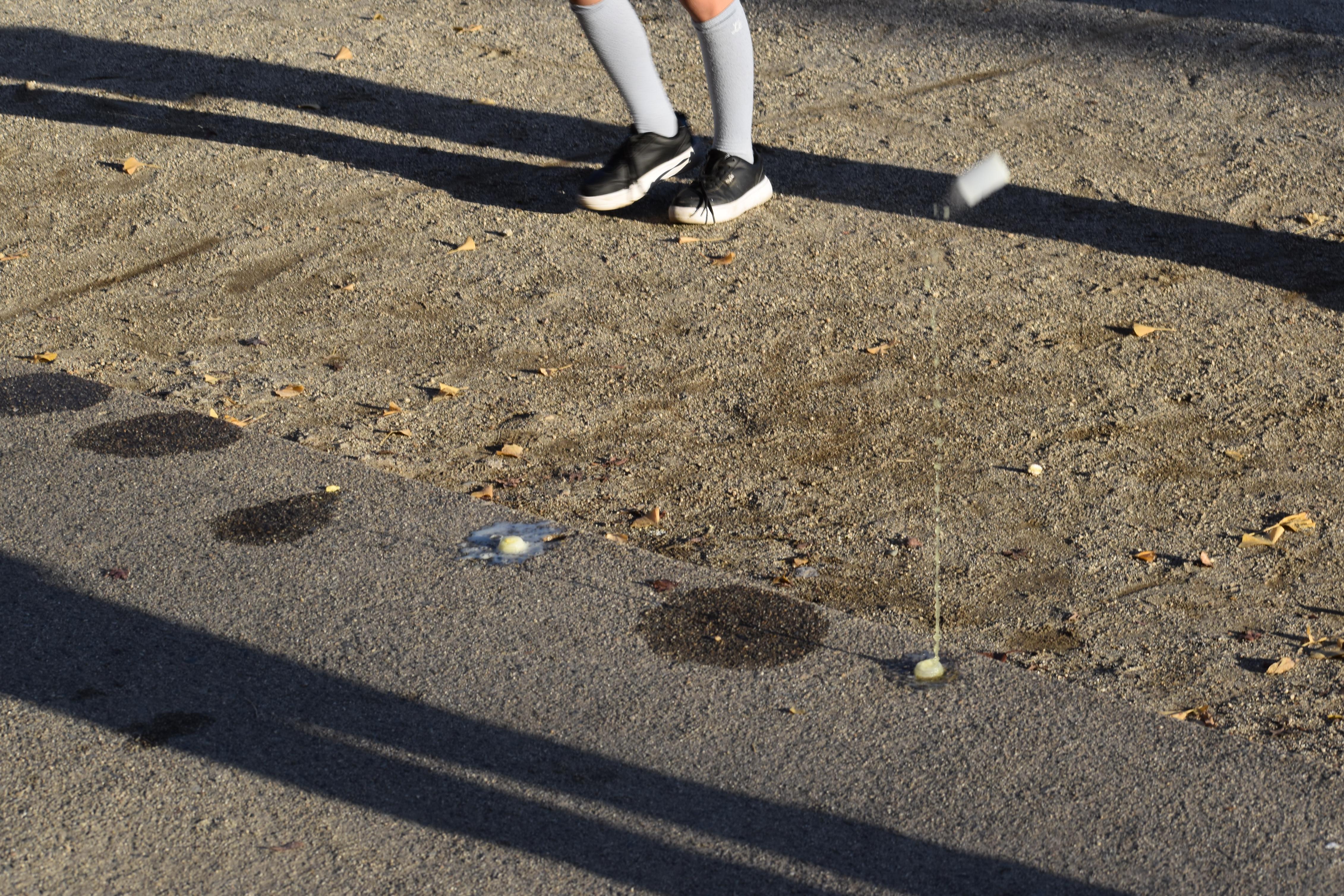 DSC_0011 DSC_0011
