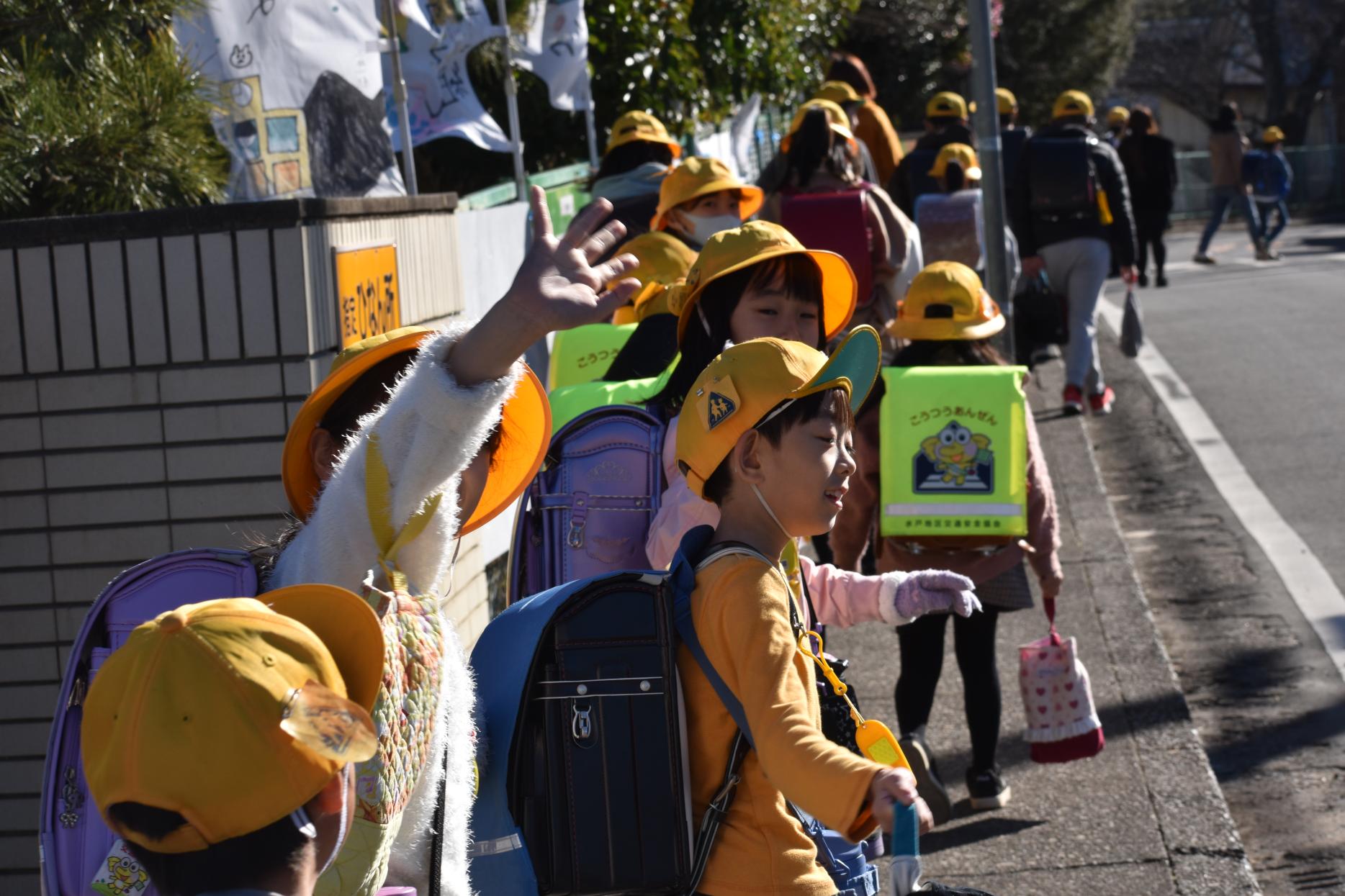 DSC_0952 DSC_0952