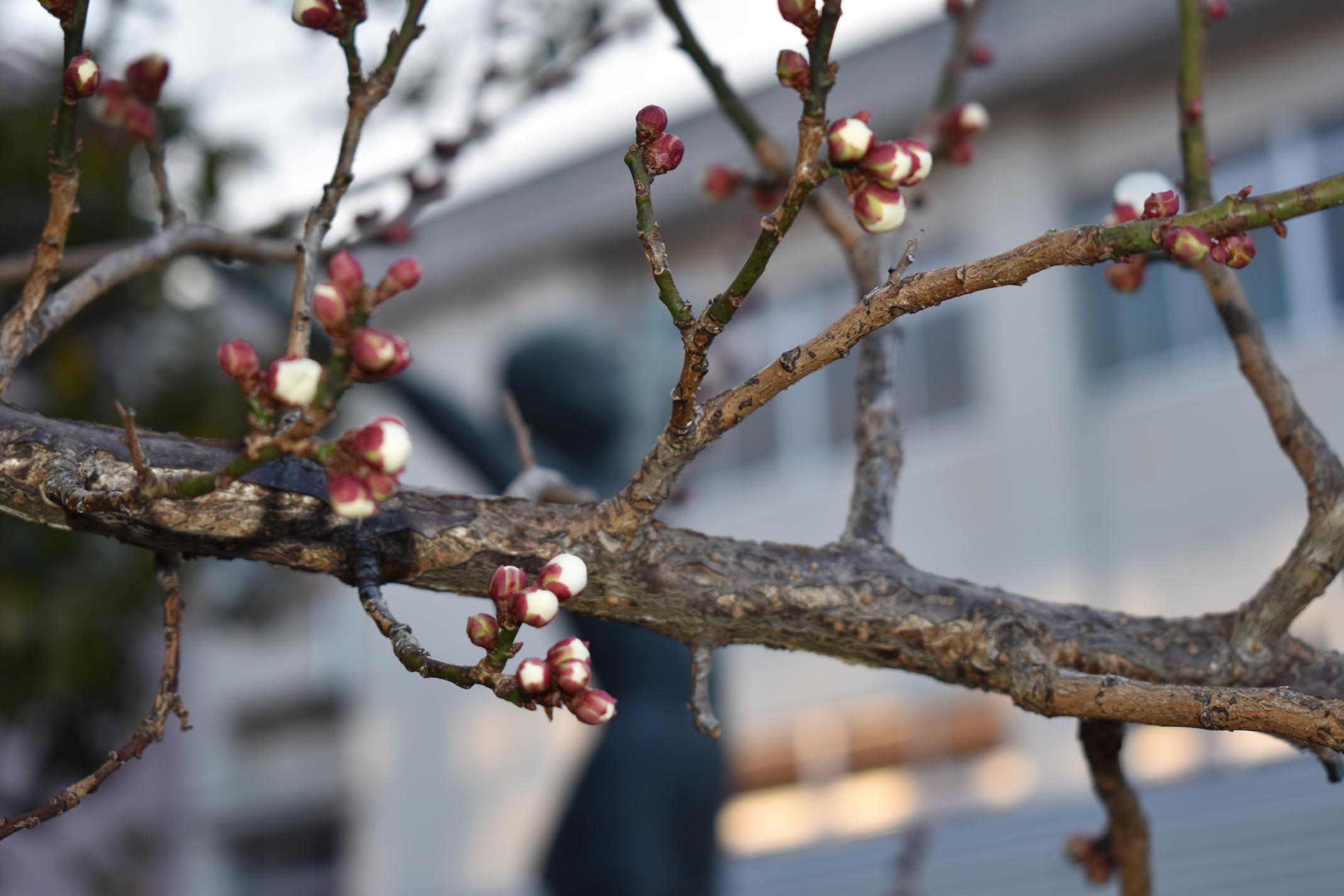 DSC_1059 DSC_1059