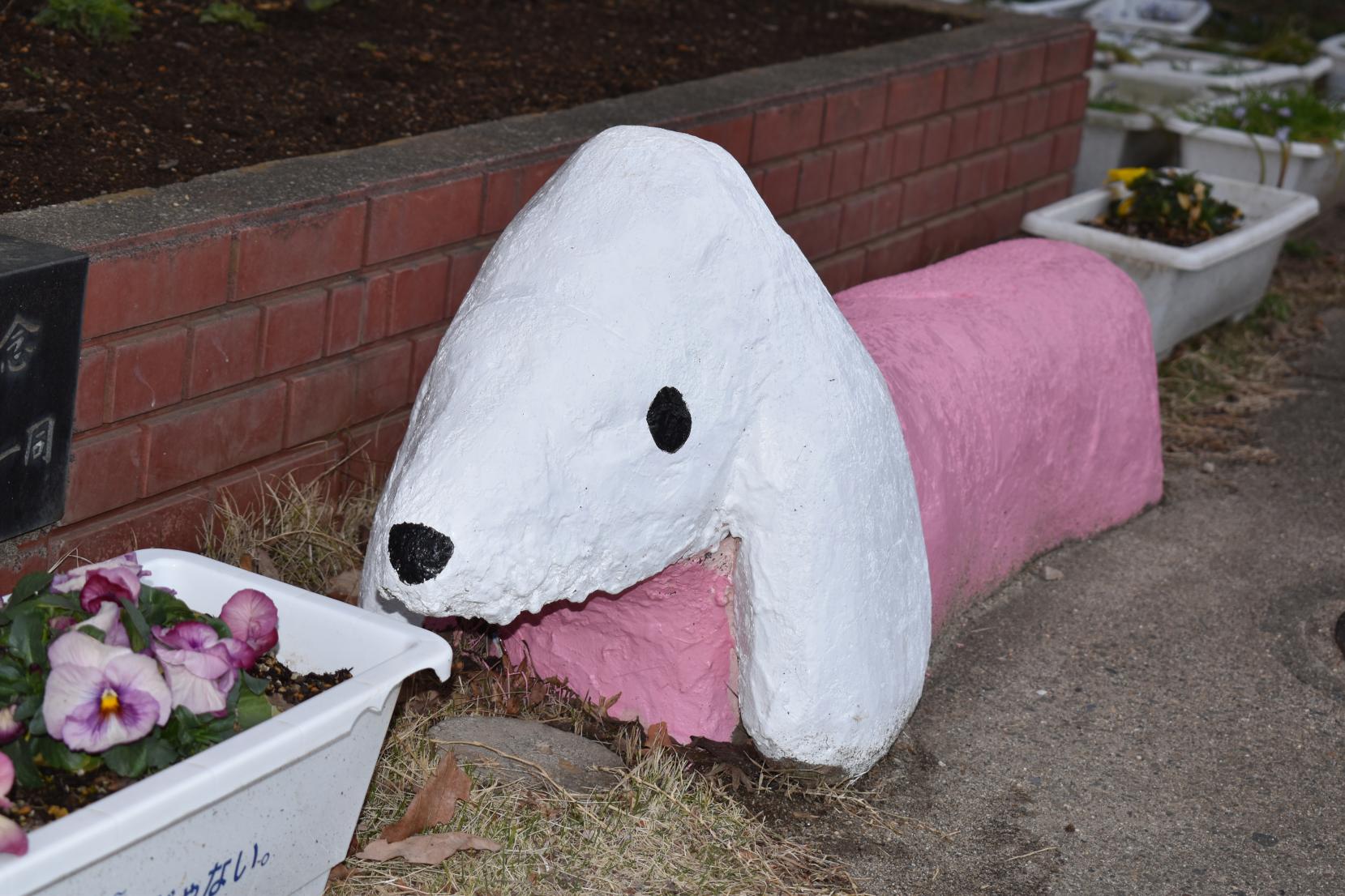 DSC_0020 DSC_0020