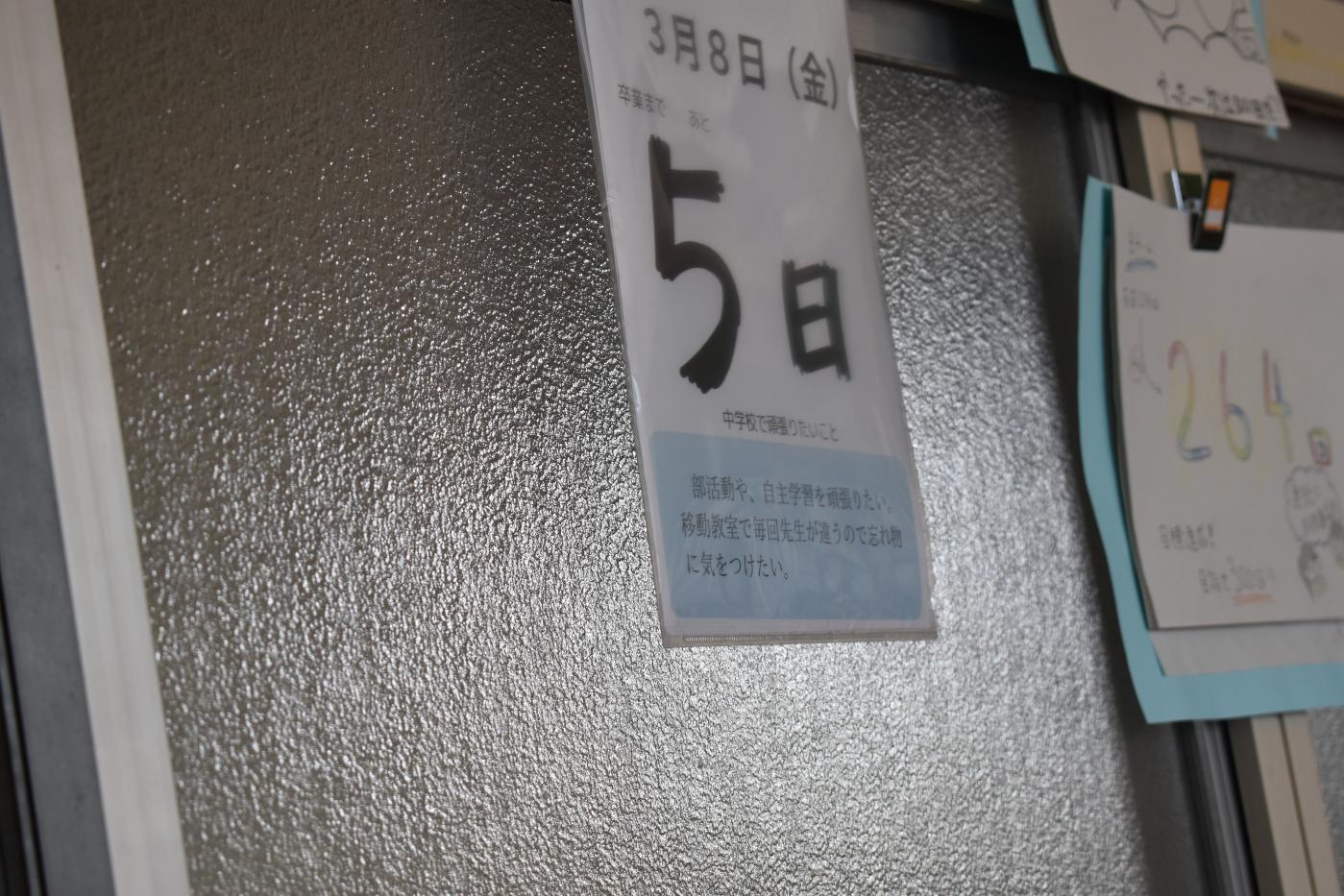 DSC_0098 DSC_0098