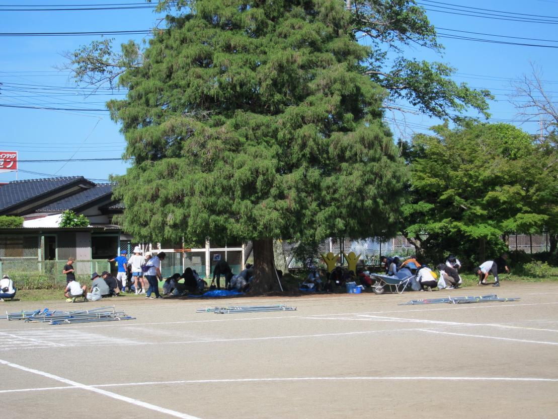 IMG_7890 IMG_7890