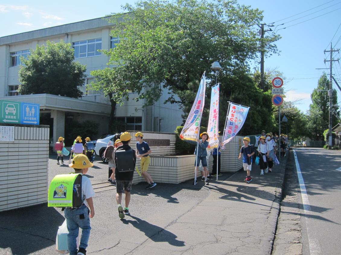IMG_8135 IMG_8135