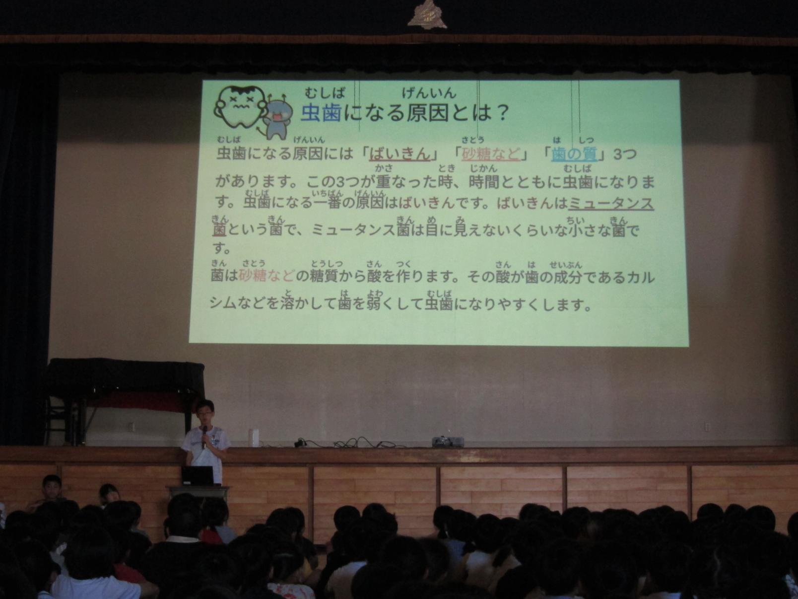 IMG_8275 IMG_8275