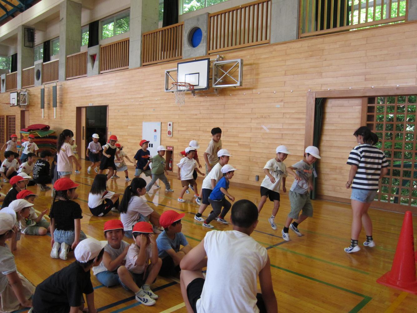 IMG_8383 IMG_8383