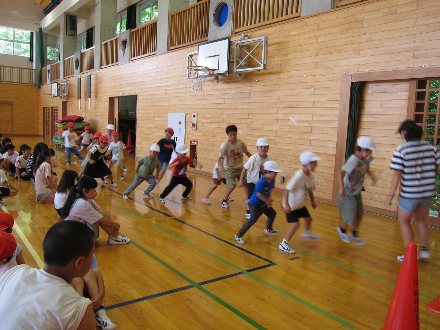 IMG_8384 IMG_8384