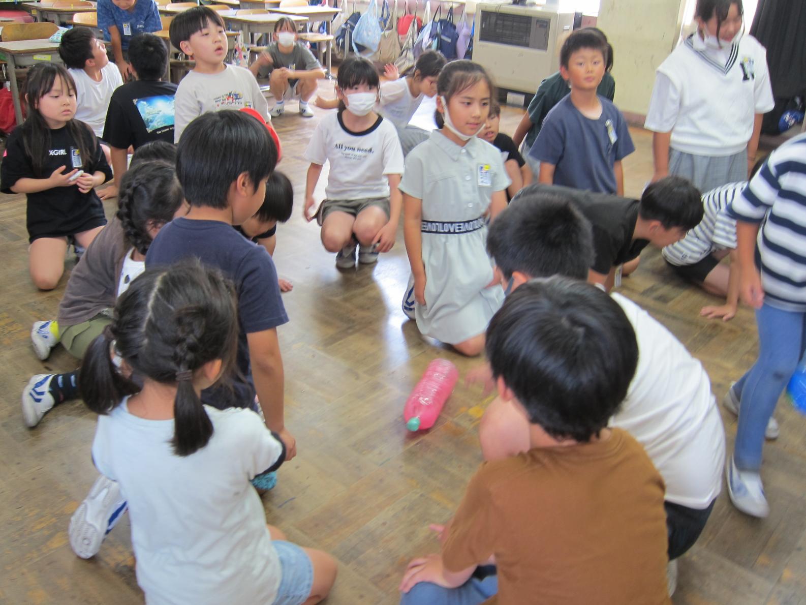 IMG_8528 IMG_8528