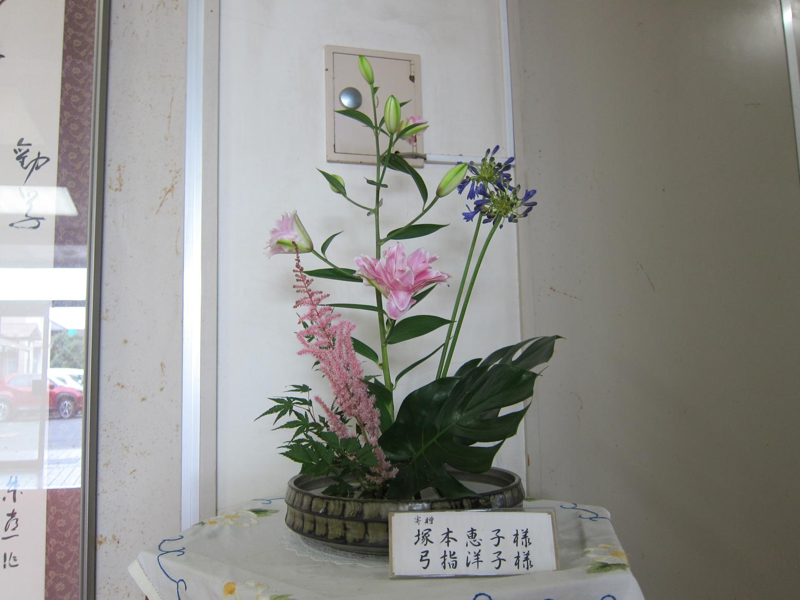 IMG_8557 IMG_8557
