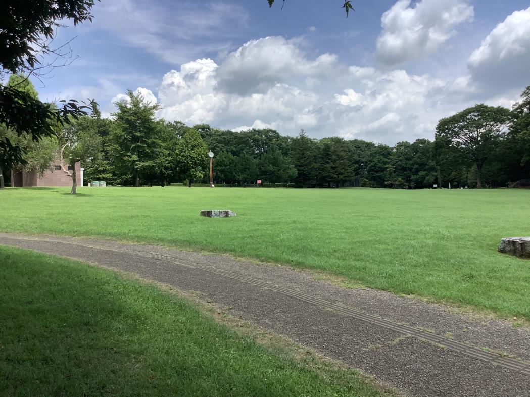image_50422529 image_50422529