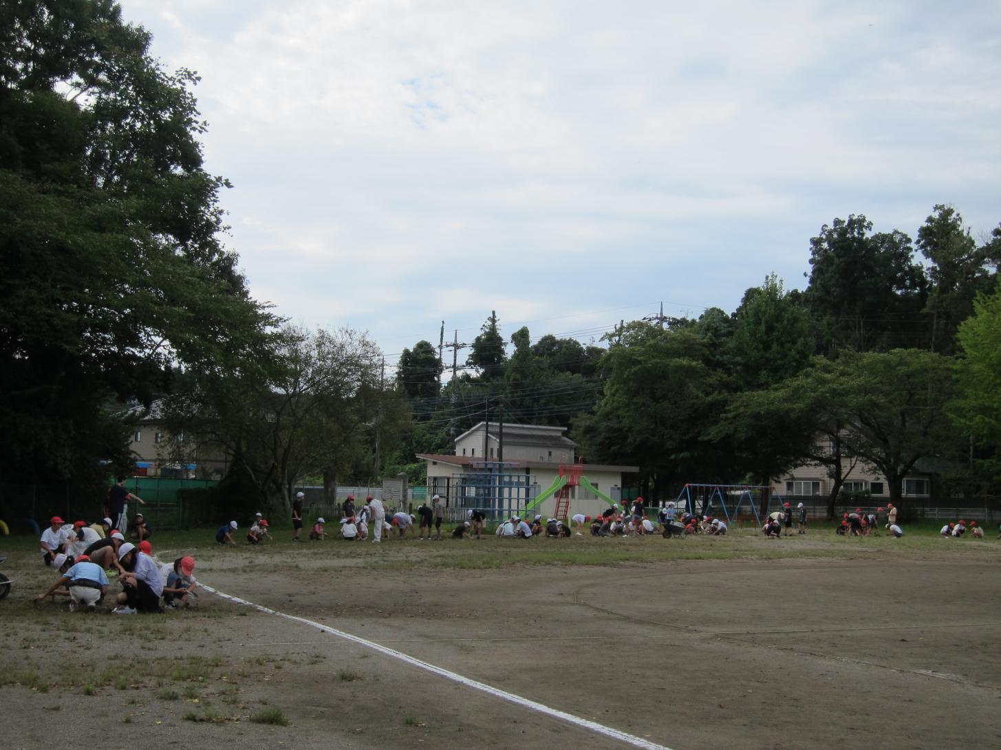 IMG_8765 IMG_8765