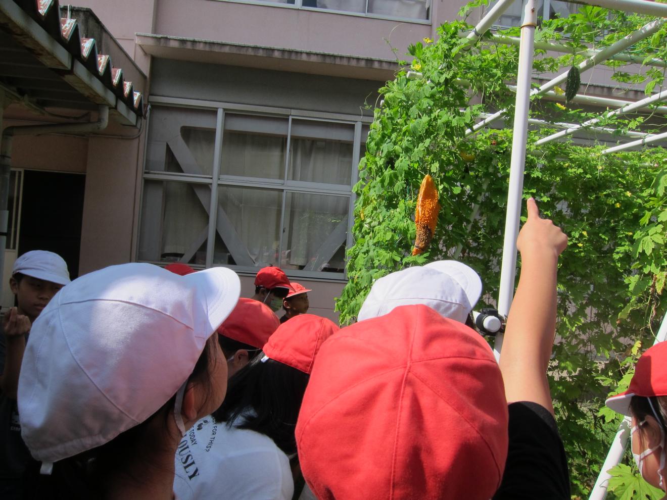 IMG_8781 IMG_8781