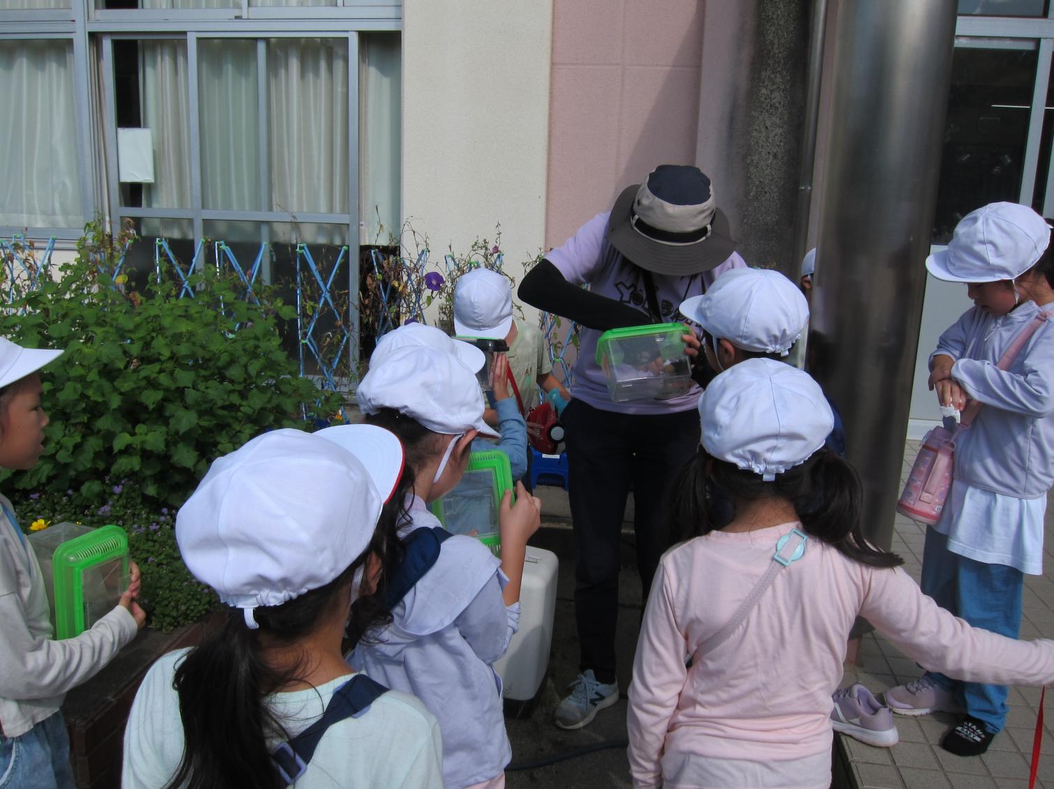 IMG_8802 IMG_8802