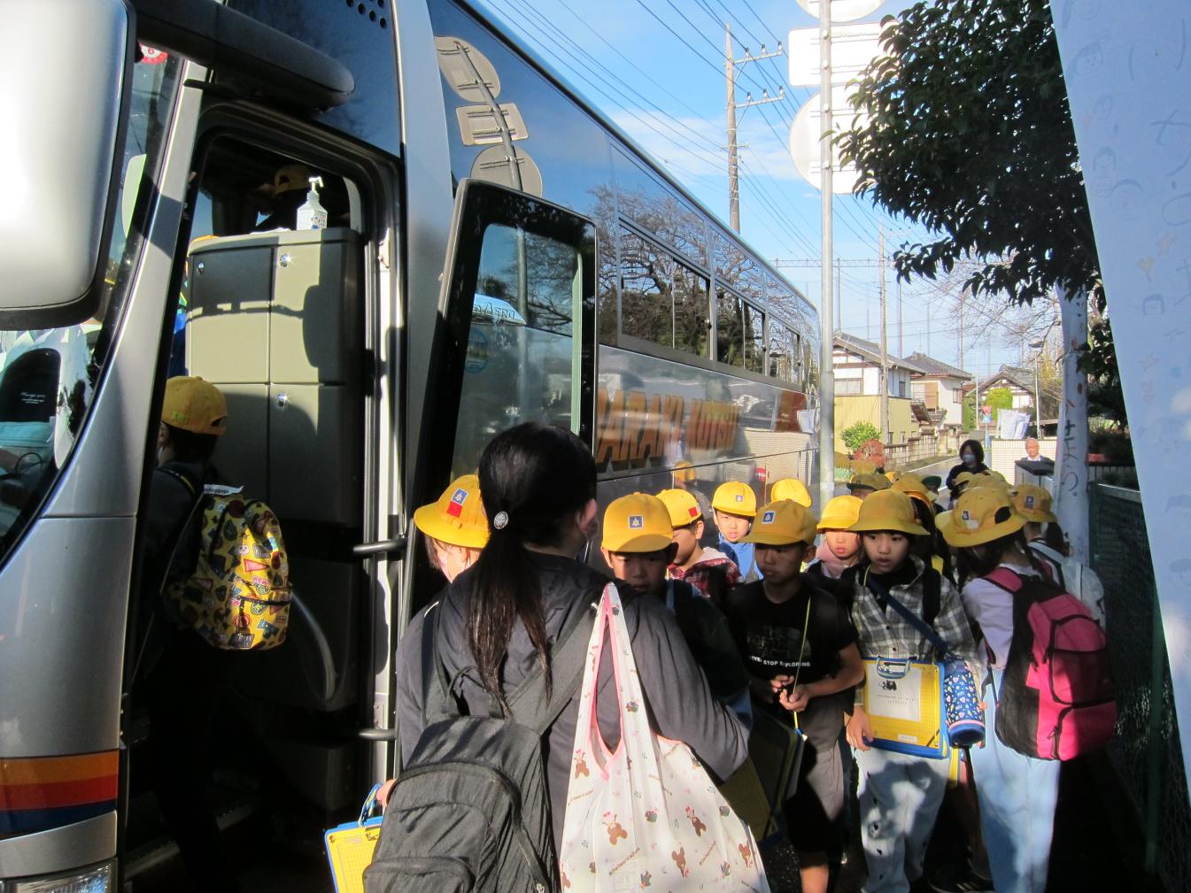 IMG_9733 IMG_9733