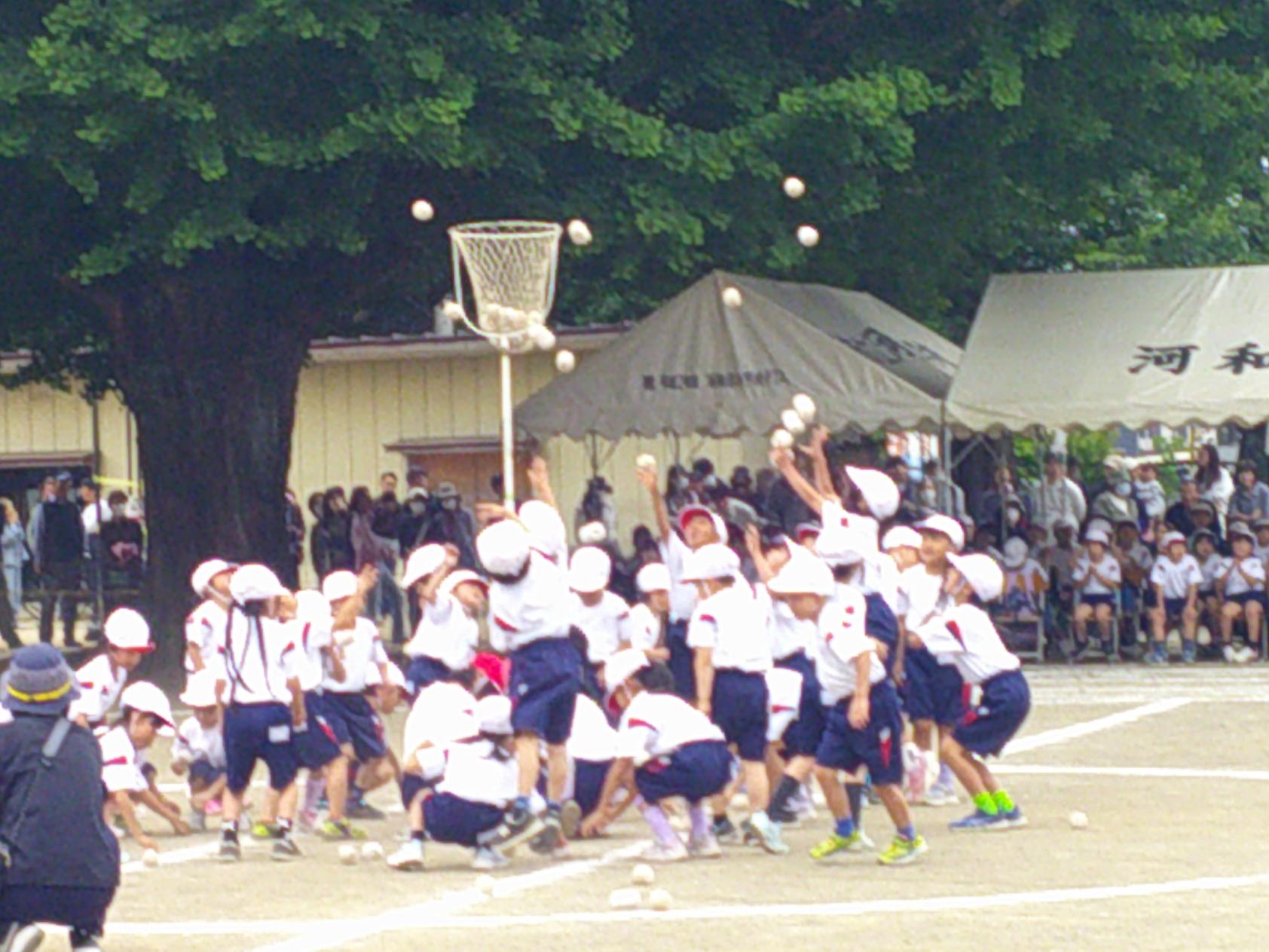 DSCF0469 DSCF0469
