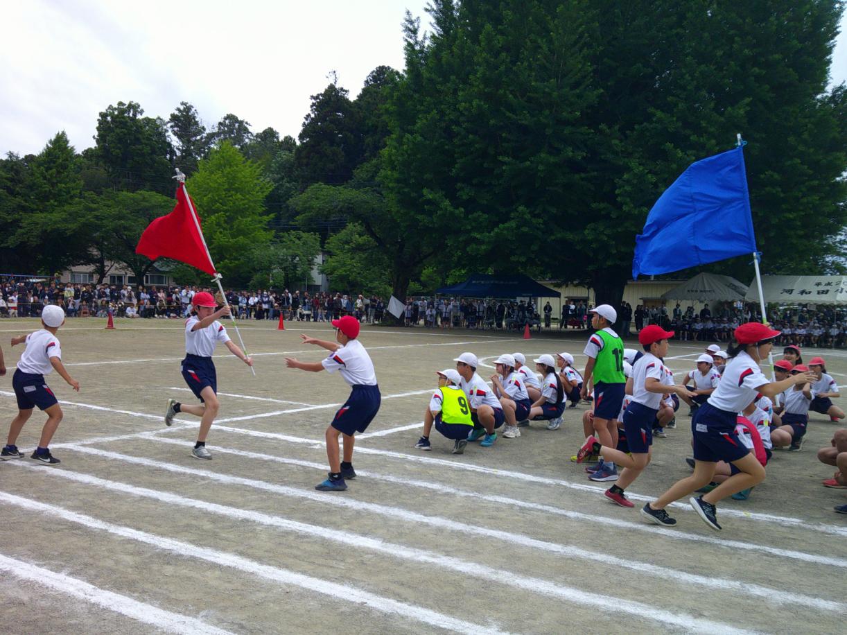 DSCF0483 DSCF0483