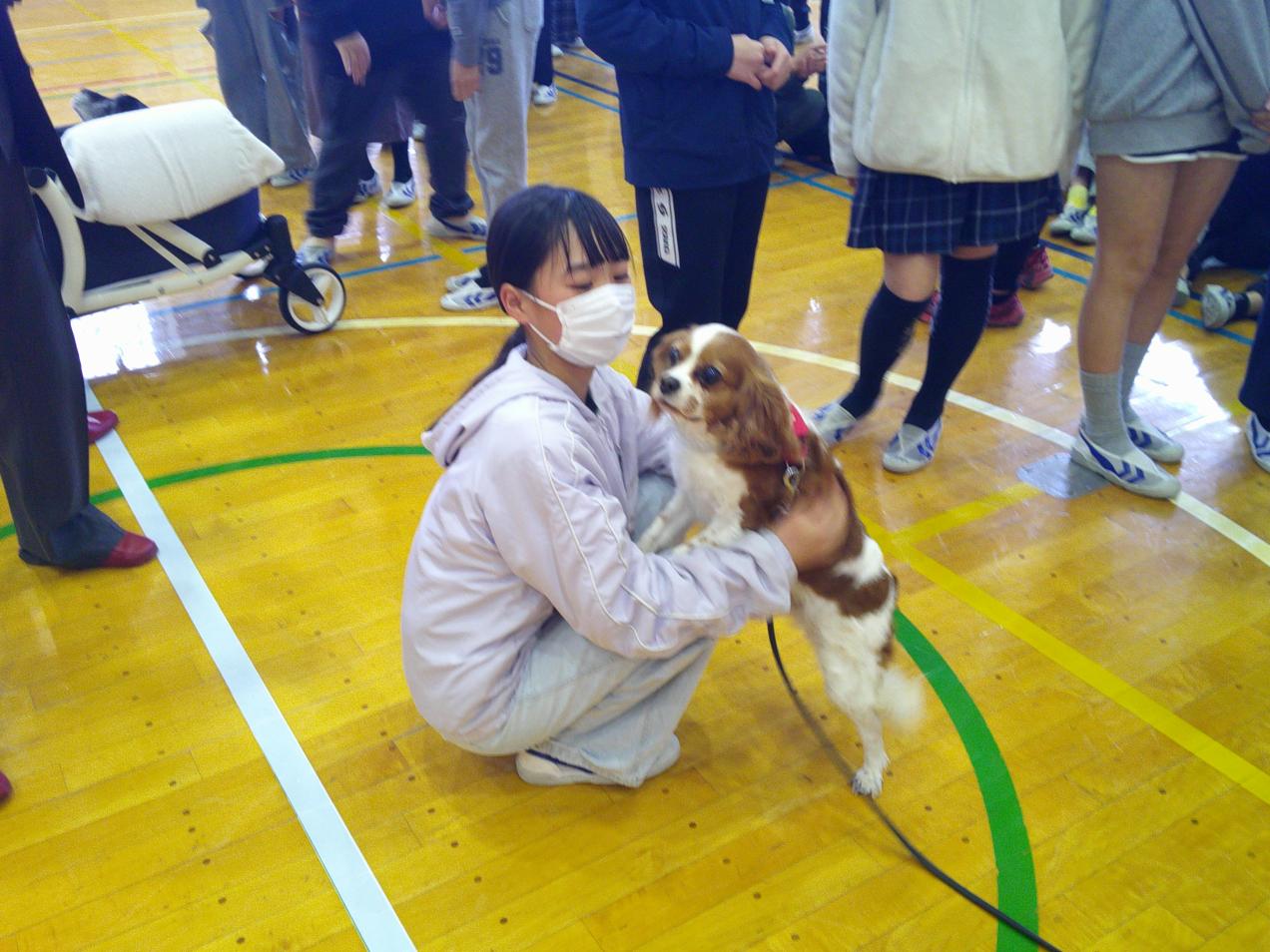 DSCF0496