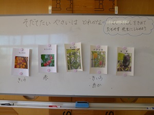 野菜 野菜