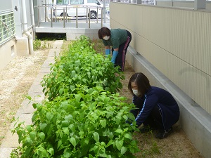 除草