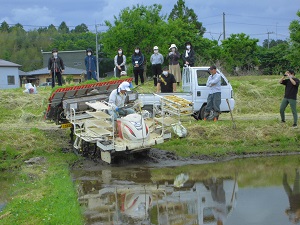 田植え