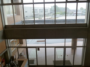 雨