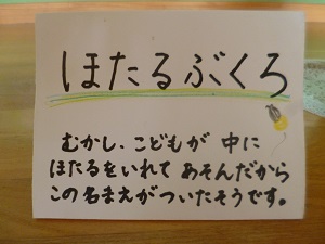 ほたるぶくろ