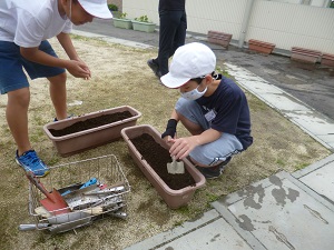 土