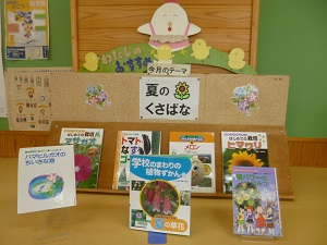 夏の草花