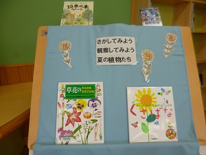 夏の草花