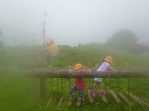 公園 公園