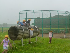 小サイズP1100872 小サイズP1100872