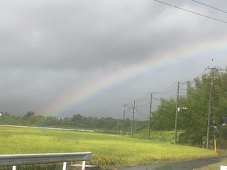 虹