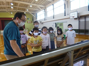 蝶 蝶