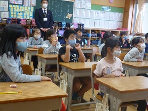 歯科 歯科