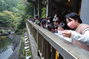 遠足(2)袋田の滝 (25) 遠足(2)袋田の滝 (25)