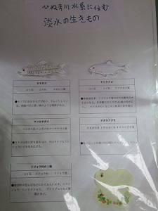 淡水