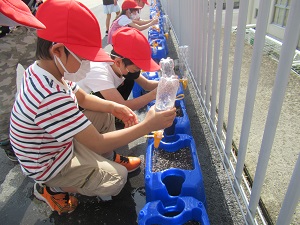 水やり