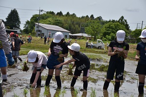 田植え