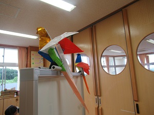 オウム オウム