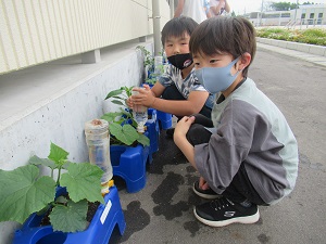 野菜