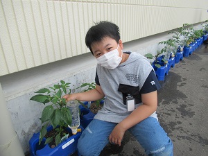野菜 野菜