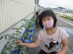 野菜